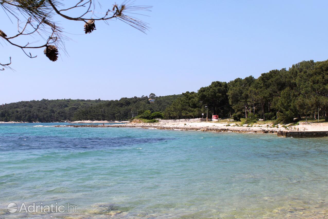 Spiagge nelle vicinanze - Appartamenti e camere con parcheggio Cunski, Lussino - Lošinj