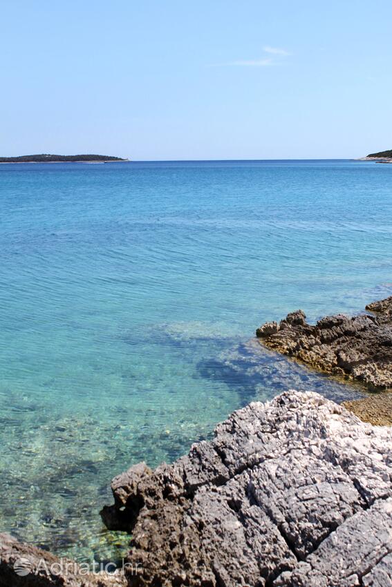 Spiagge nelle vicinanze - Appartamenti e camere con parcheggio Cunski, Lussino - Lošinj
