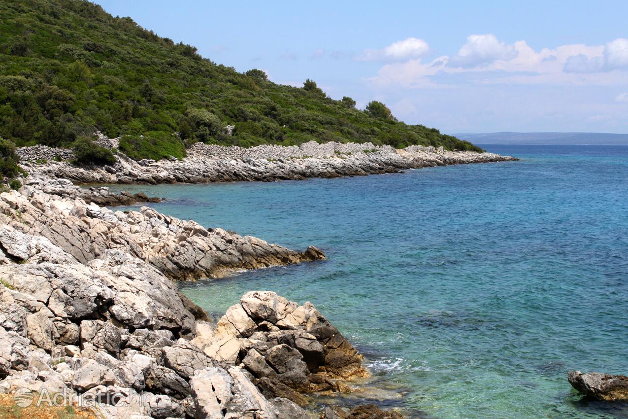 Spiagge nelle vicinanze - Appartamenti e camere con parcheggio Cunski, Lussino - Lošinj