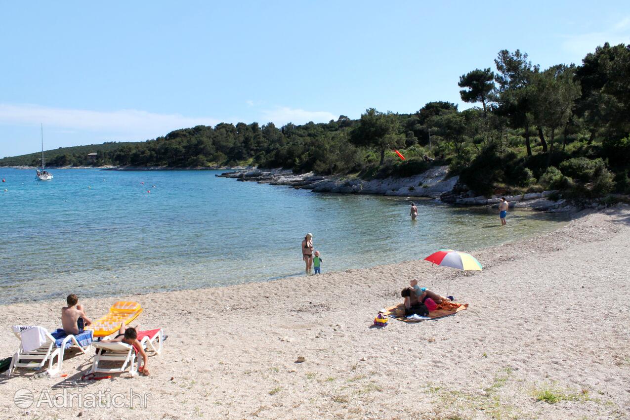 Spiagge nelle vicinanze - Appartamenti e camere con parcheggio Cunski, Lussino - Lošinj