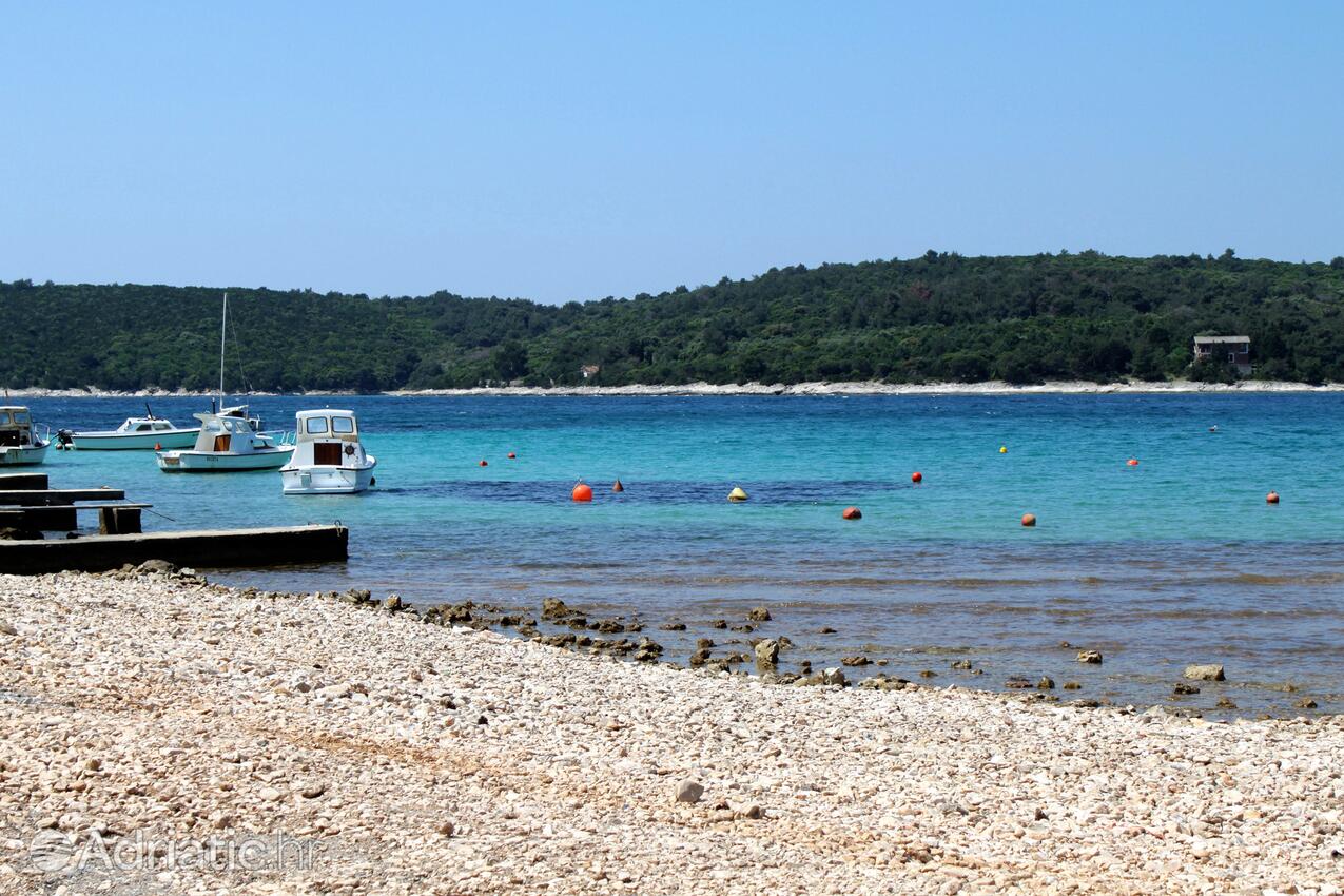 Spiagge nelle vicinanze - Appartamenti e camere con parcheggio Cunski, Lussino - Lošinj