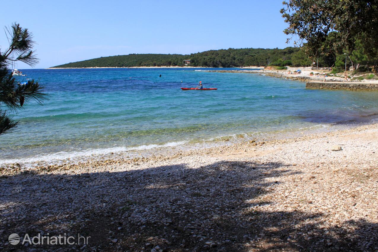 Spiagge nelle vicinanze - Appartamenti e camere con parcheggio Cunski, Lussino - Lošinj