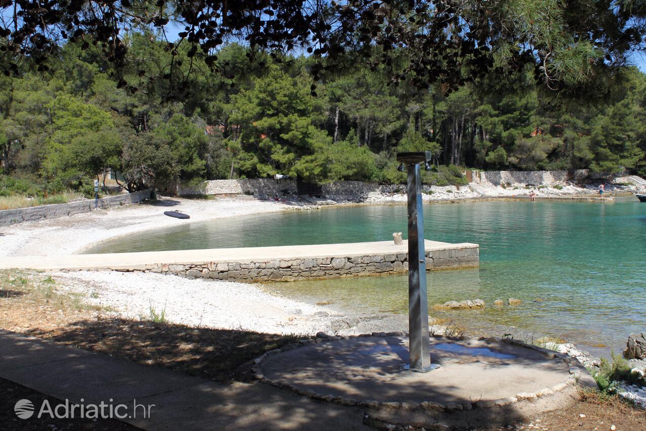 Spiagge nelle vicinanze - Appartamenti e camere con parcheggio Cunski, Lussino - Lošinj