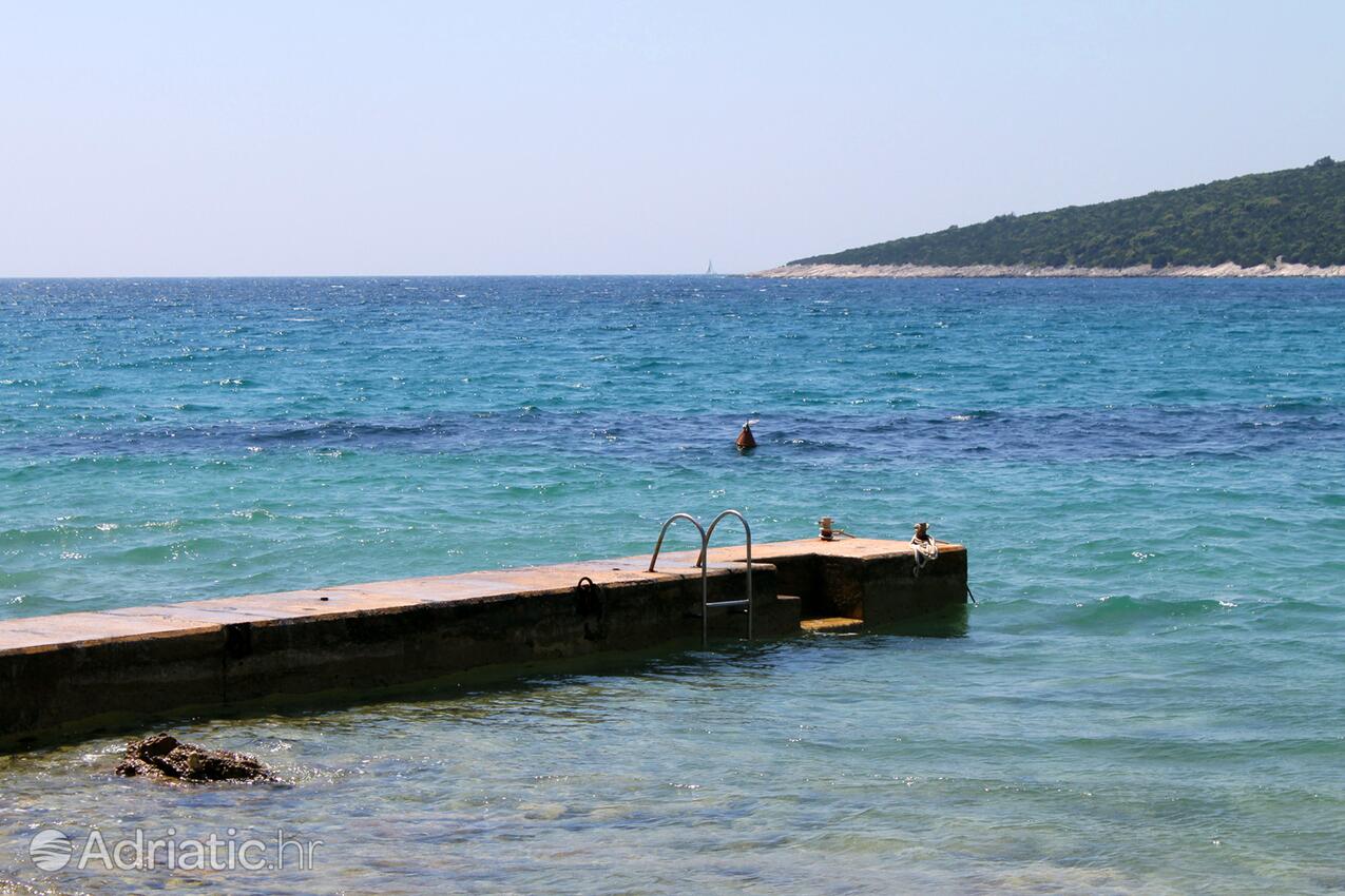 Spiagge nelle vicinanze - Appartamenti e camere con parcheggio Cunski, Lussino - Lošinj