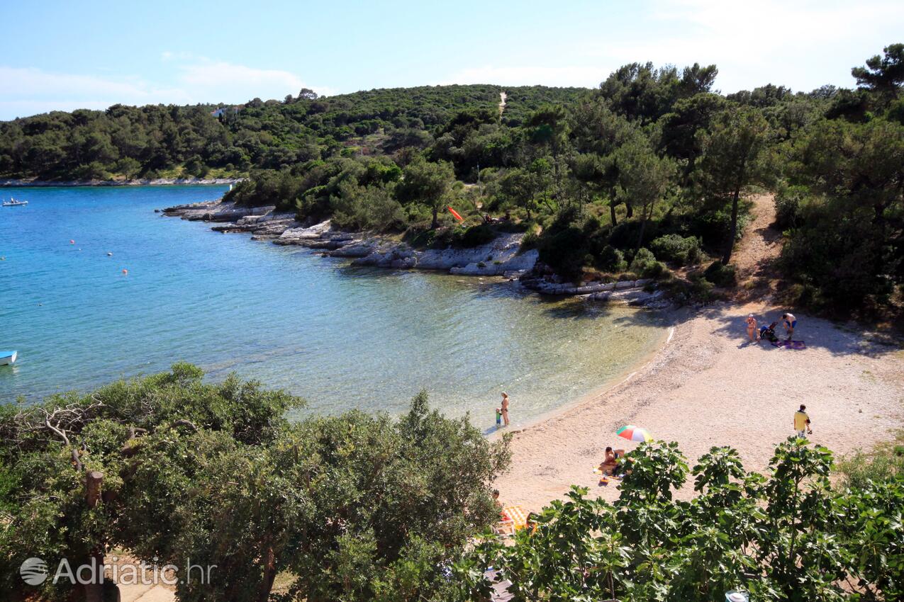 Spiagge nelle vicinanze - Appartamenti e camere con parcheggio Cunski, Lussino - Lošinj