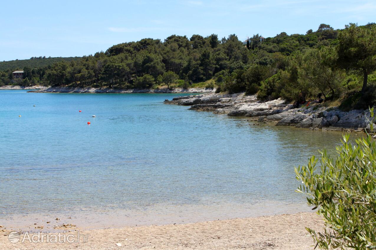 Spiagge nelle vicinanze - Appartamenti e camere con parcheggio Cunski, Lussino - Lošinj
