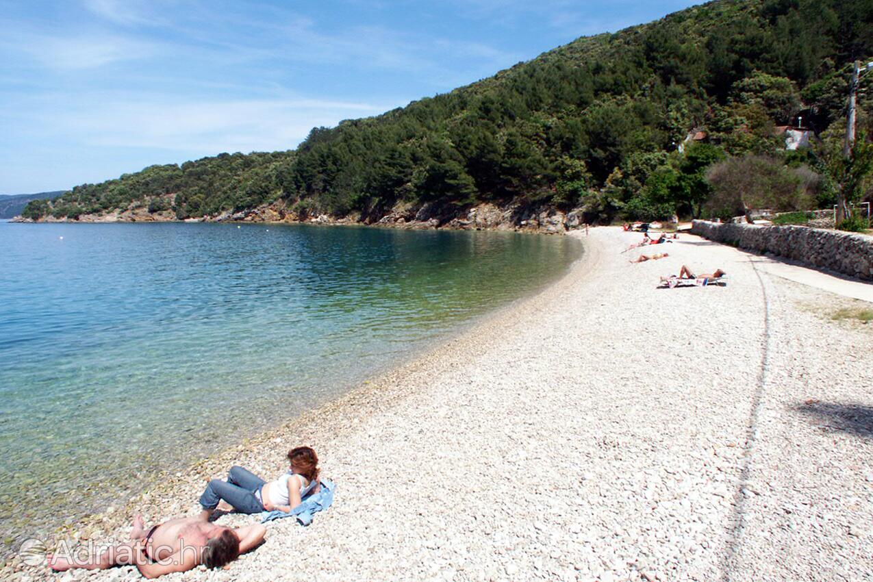Strände in der Nähe - Ferienwohnungen am Meer Valun, Cres