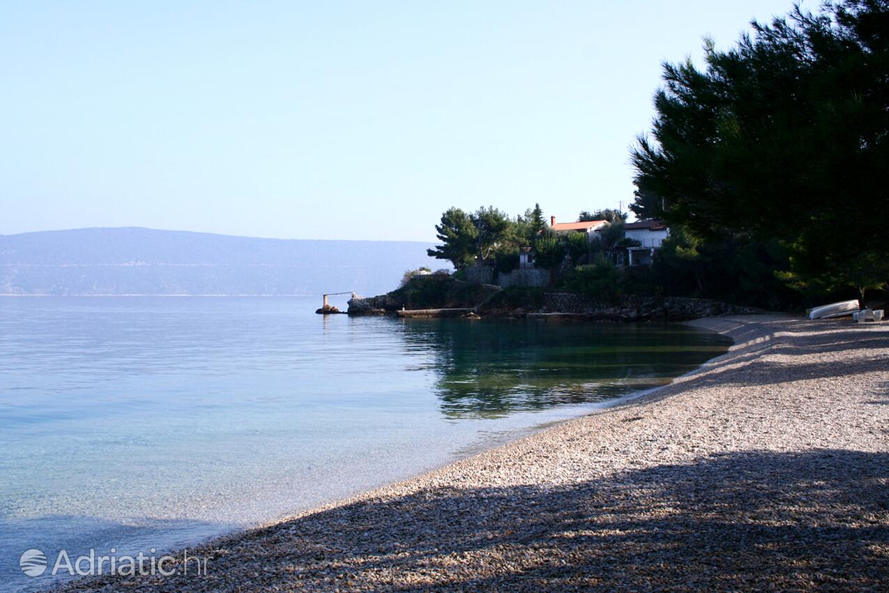 Strände in der Nähe - Ferienwohnungen am Meer Valun, Cres