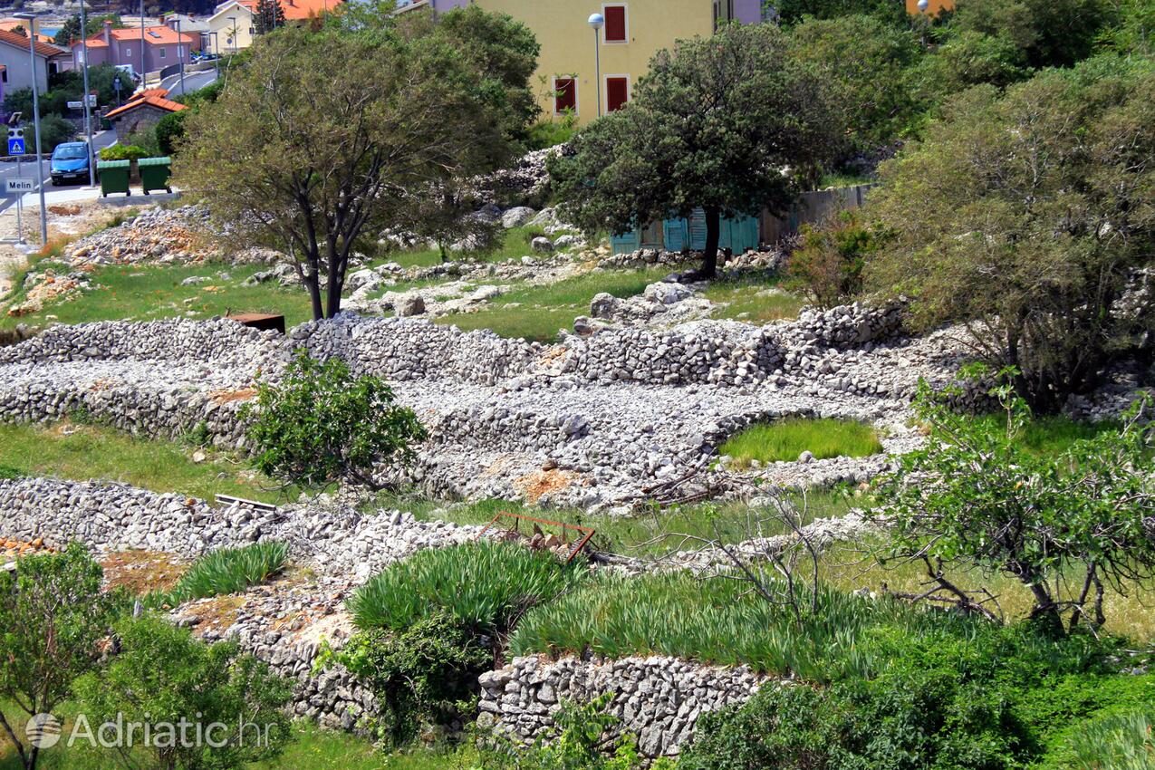 Cres na otoku Cres (Kvarner)