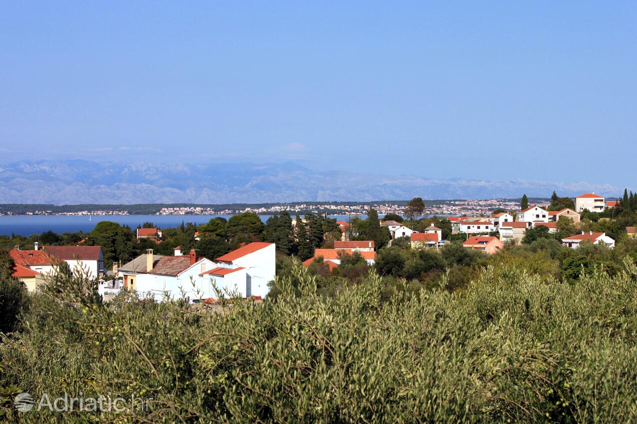 Lukoran op de route Ugljan (Sjeverna Dalmacija)