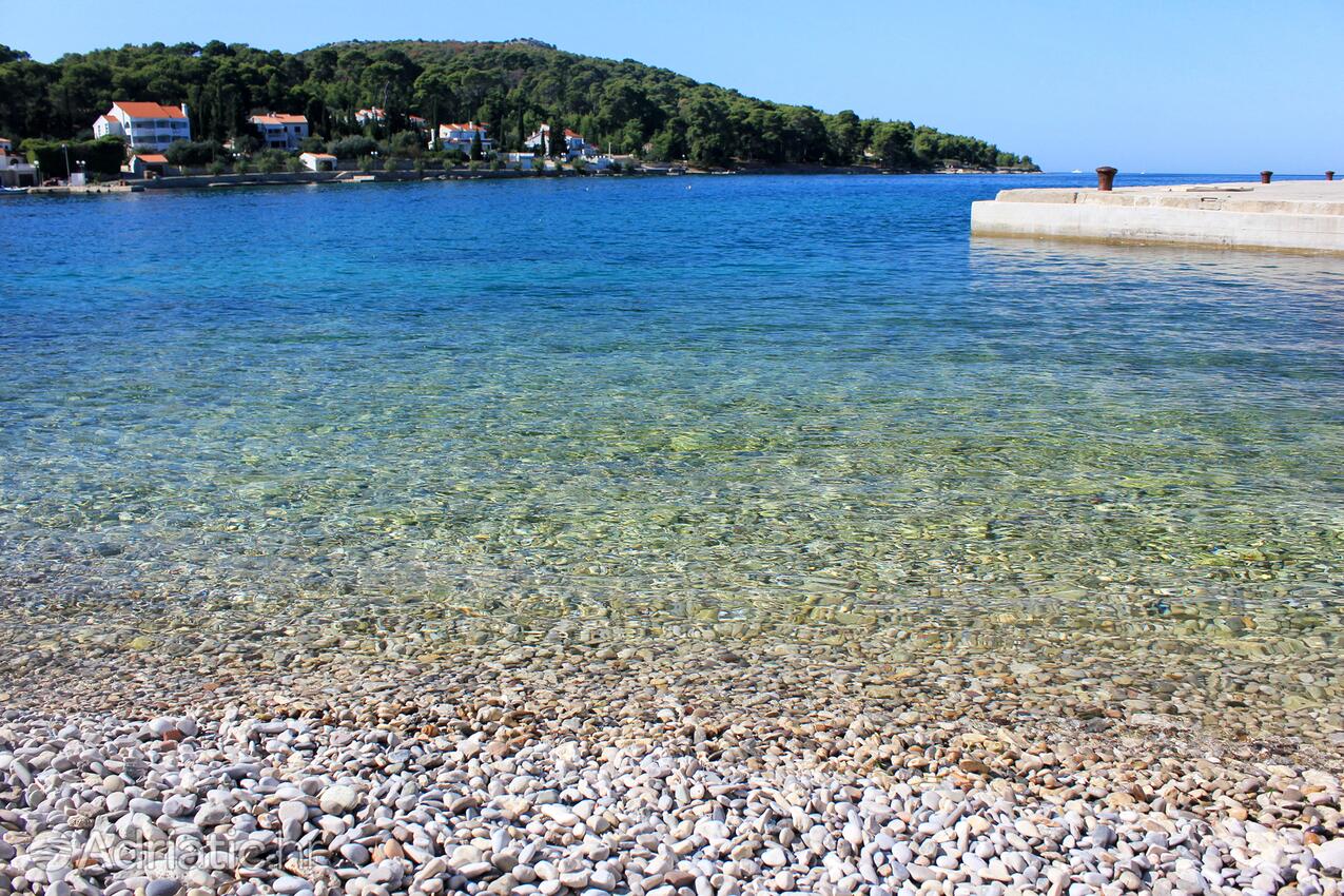 Nearby beaches - Apartments by the sea Lukoran, Ugljan