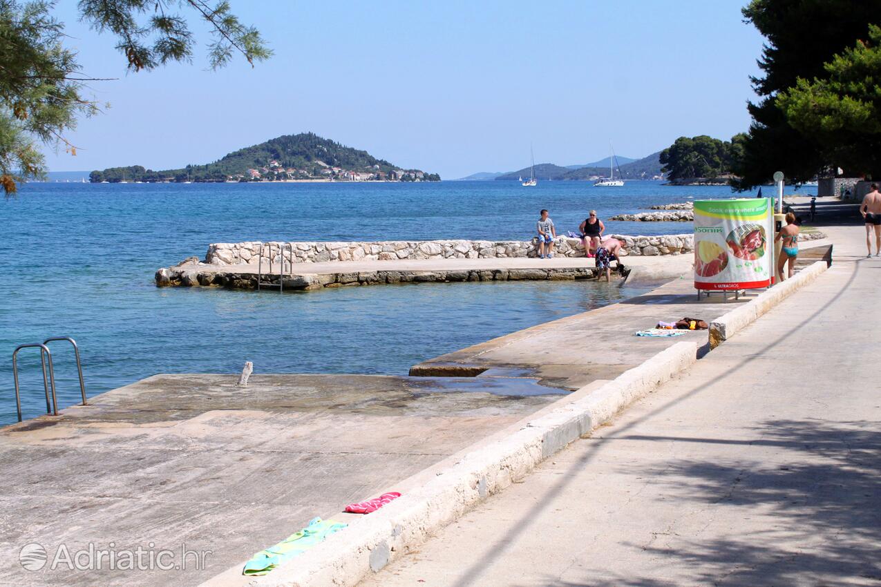 Nearby beaches - Apartments by the sea Lukoran, Ugljan