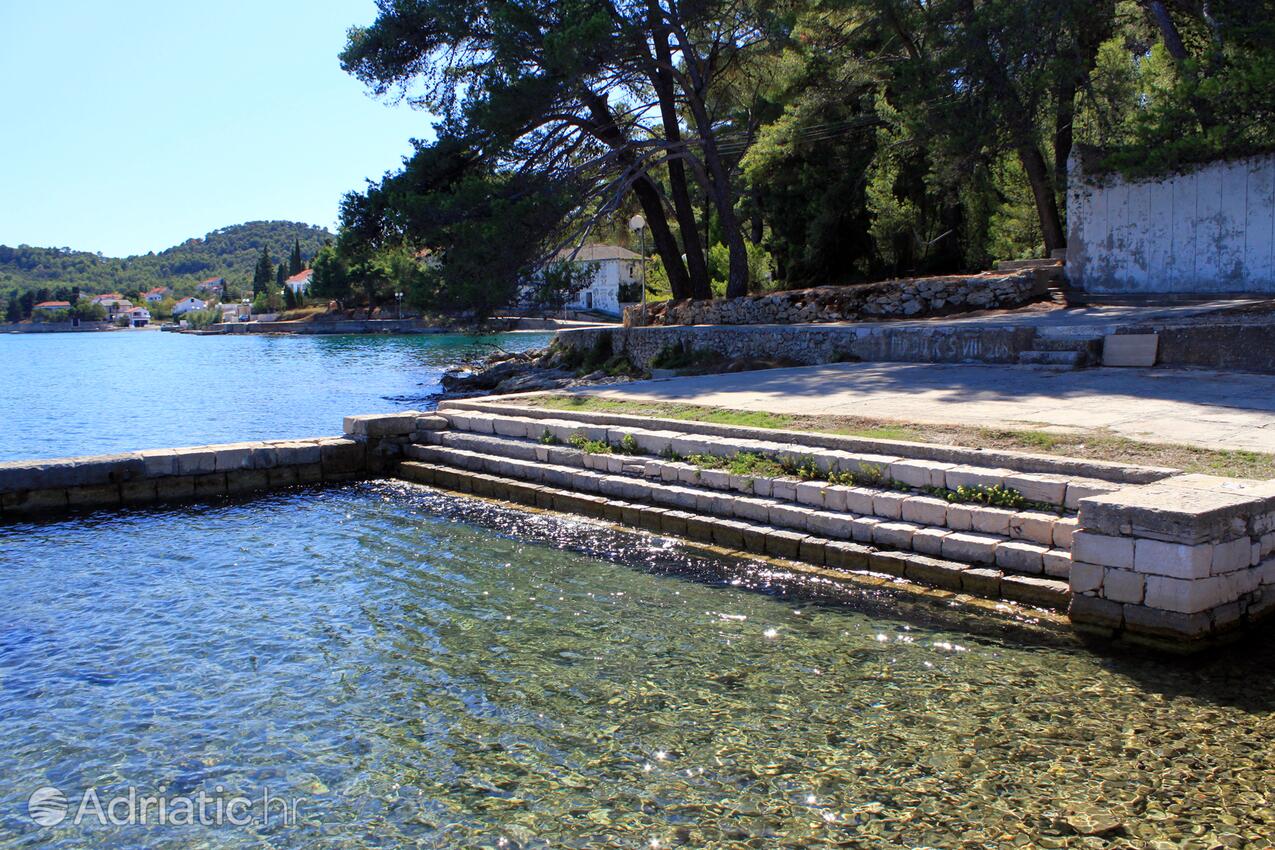 Nearby beaches - Apartments by the sea Lukoran, Ugljan