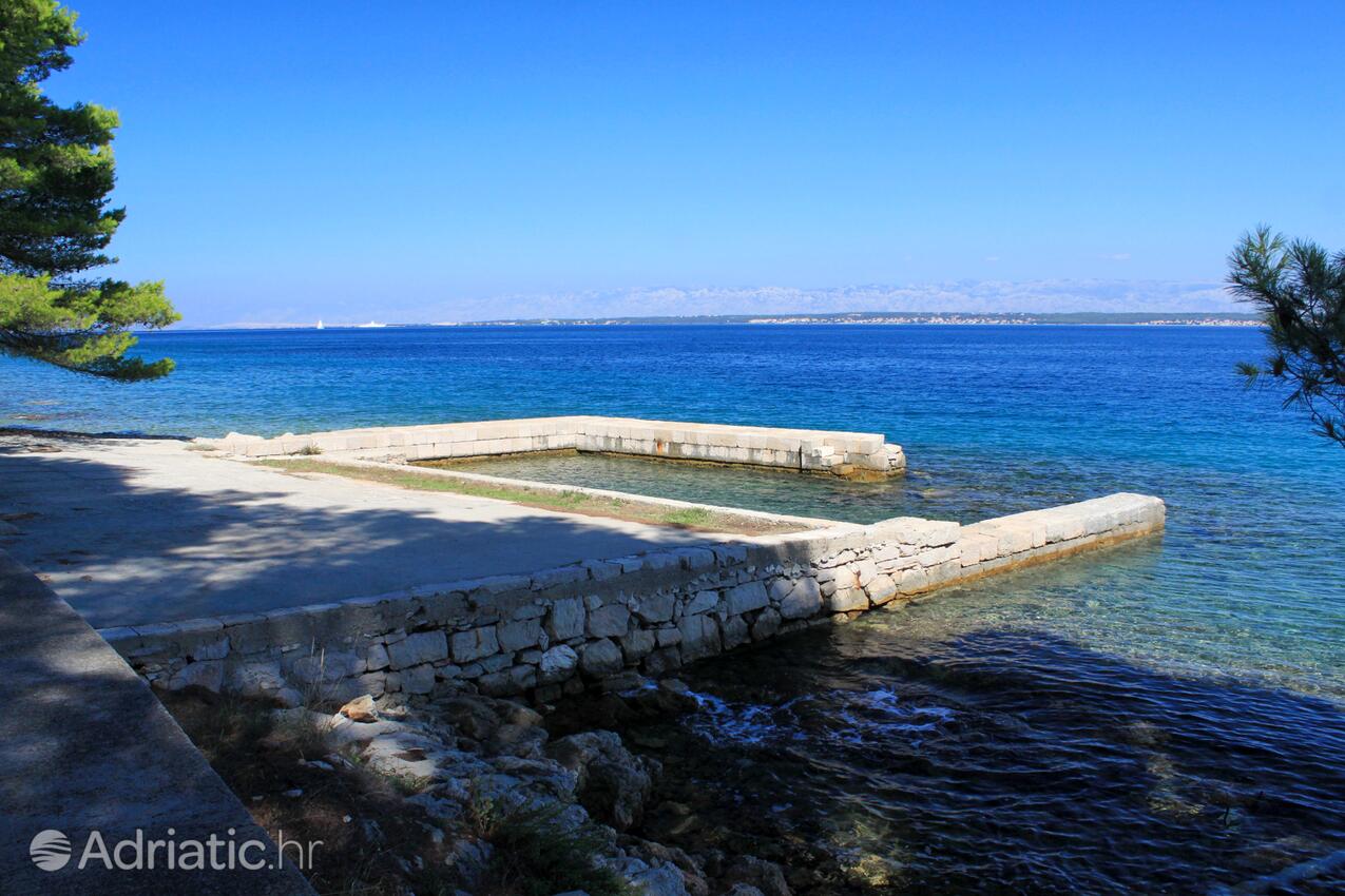 Nearby beaches - Apartments by the sea Lukoran, Ugljan