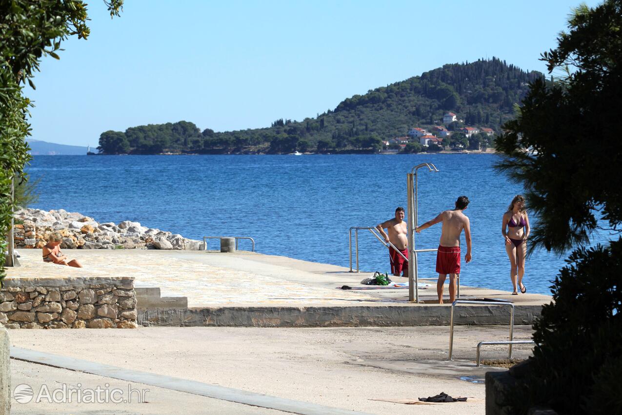 Nearby beaches - Apartments by the sea Lukoran, Ugljan