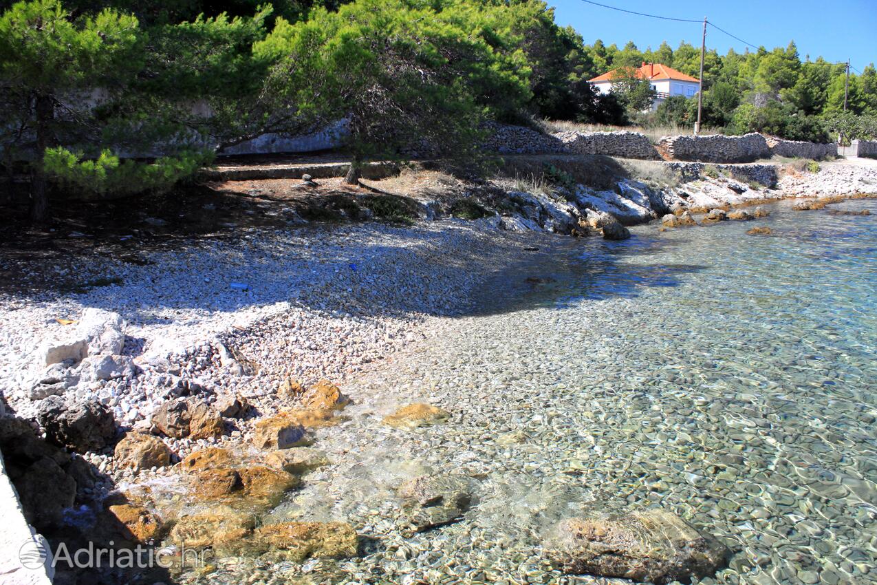 Nearby beaches - Apartments by the sea Lukoran, Ugljan