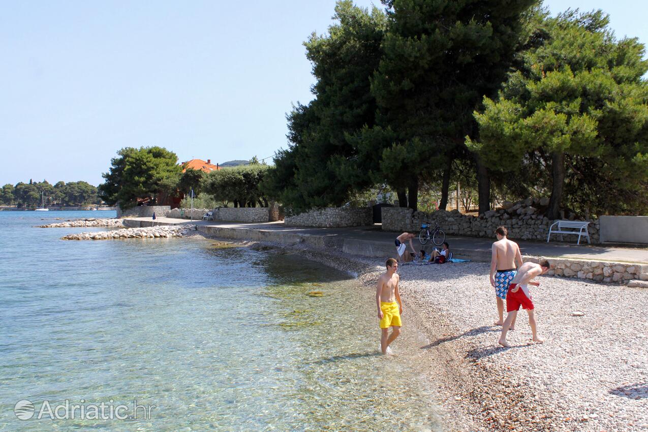 Nearby beaches - Apartments by the sea Lukoran, Ugljan