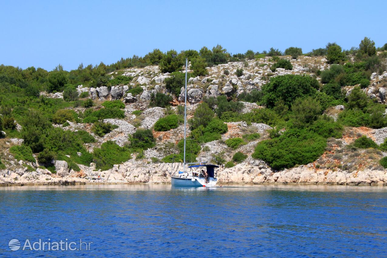 Lavdara na wyspie Dugi otok (Sjeverna Dalmacija)