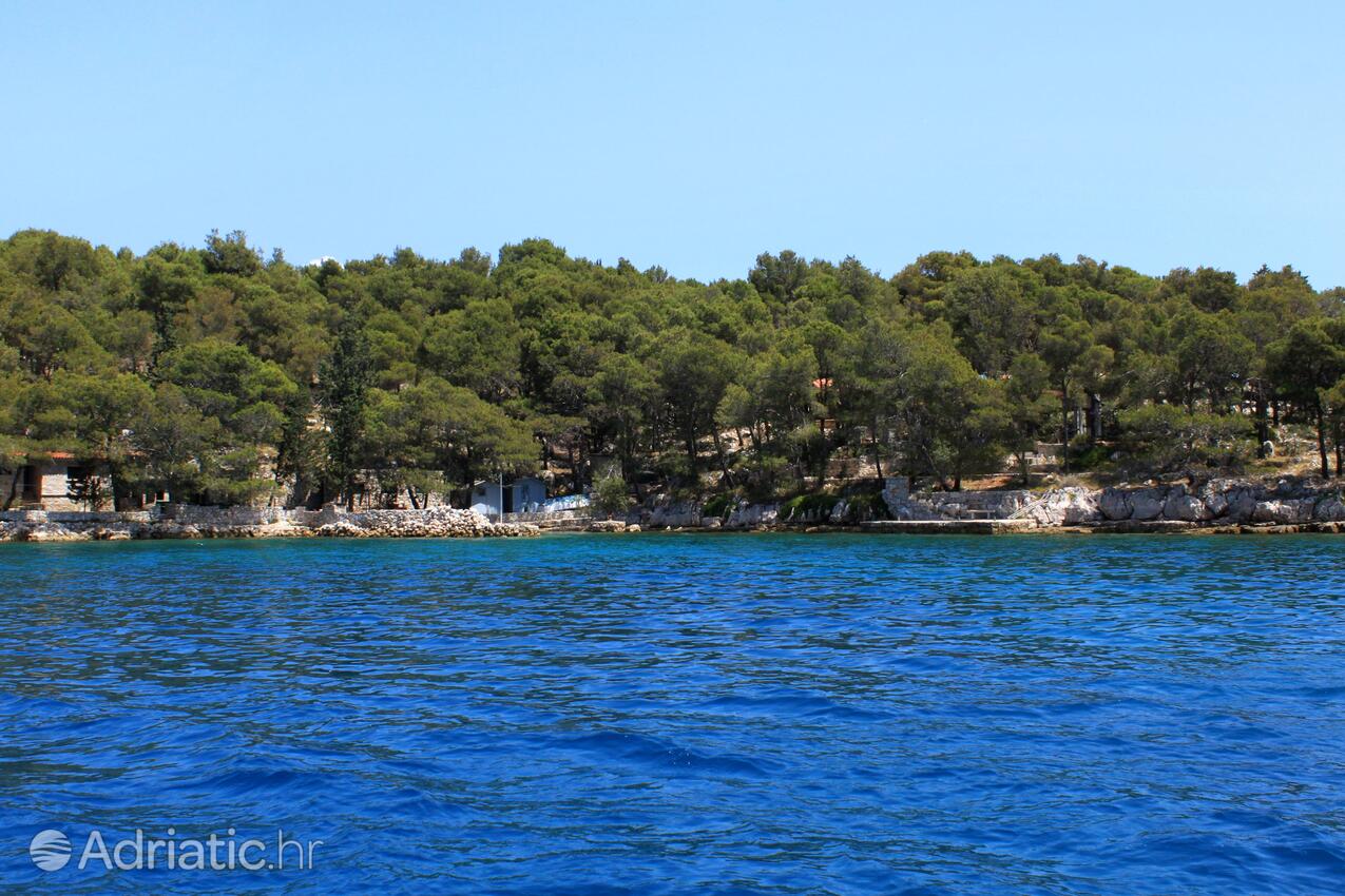 Lavdara na wyspie Dugi otok (Sjeverna Dalmacija)