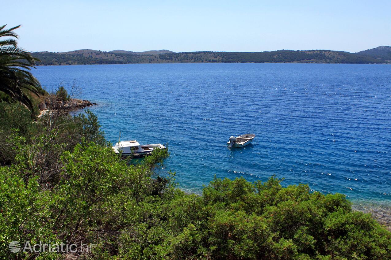 Lavdara na wyspie Dugi otok (Sjeverna Dalmacija)