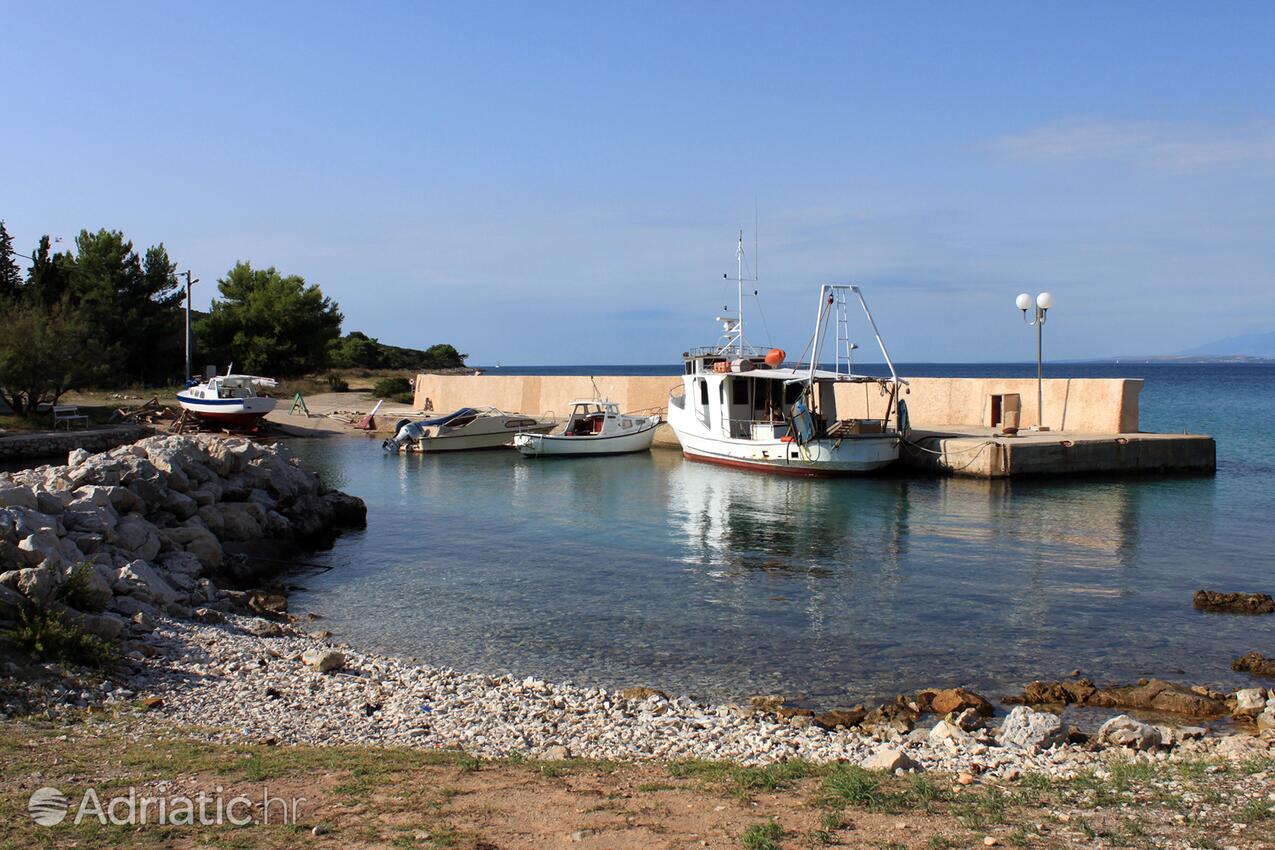 Sušica sur l’île Ugljan (Sjeverna Dalmacija)