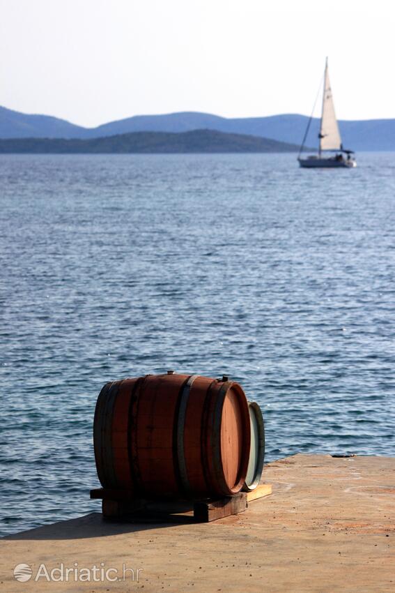 Guduće sur l’île Ugljan (Sjeverna Dalmacija)