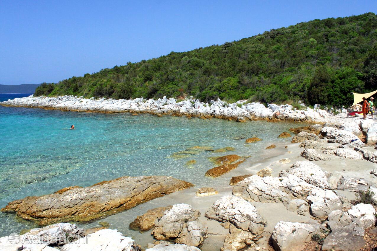 Guduće sur l’île Ugljan (Sjeverna Dalmacija)