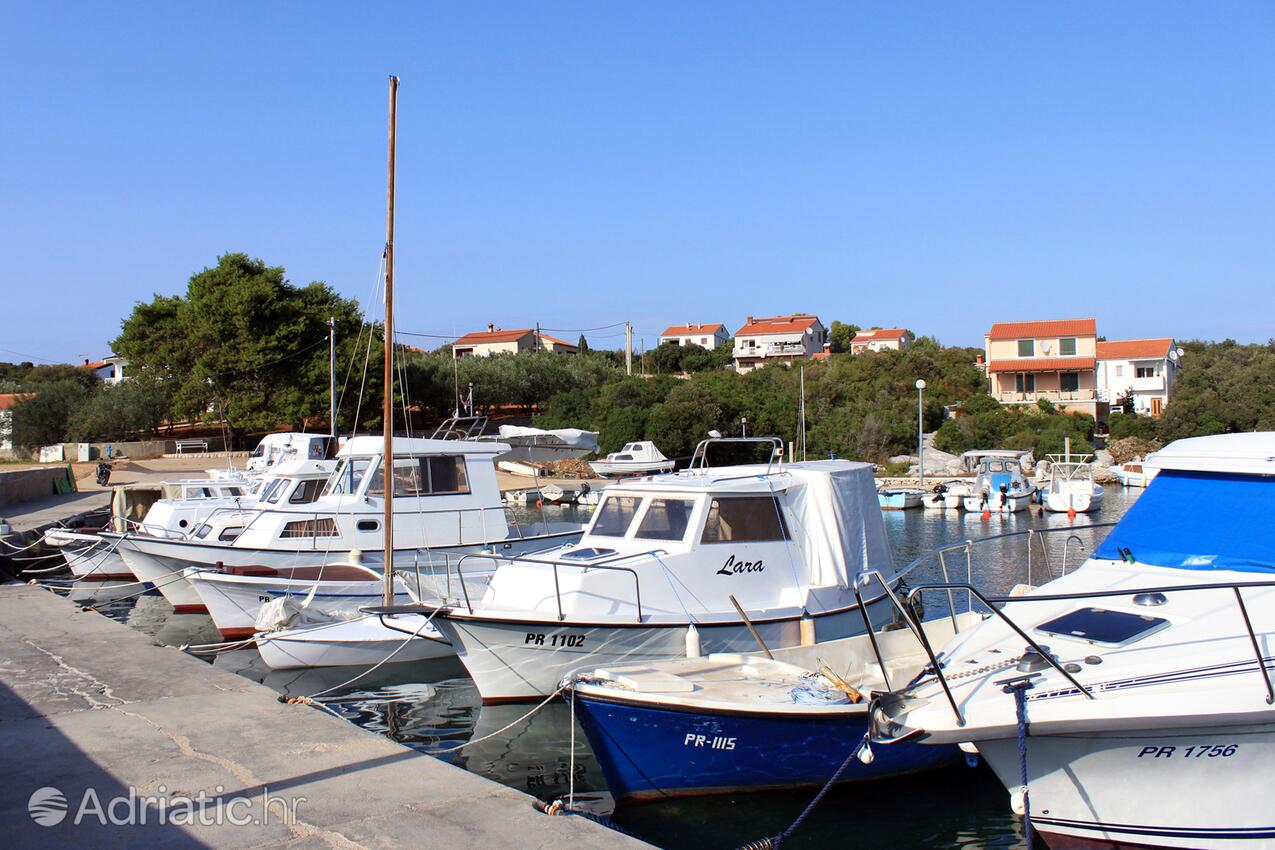 Guduće sur l’île Ugljan (Sjeverna Dalmacija)