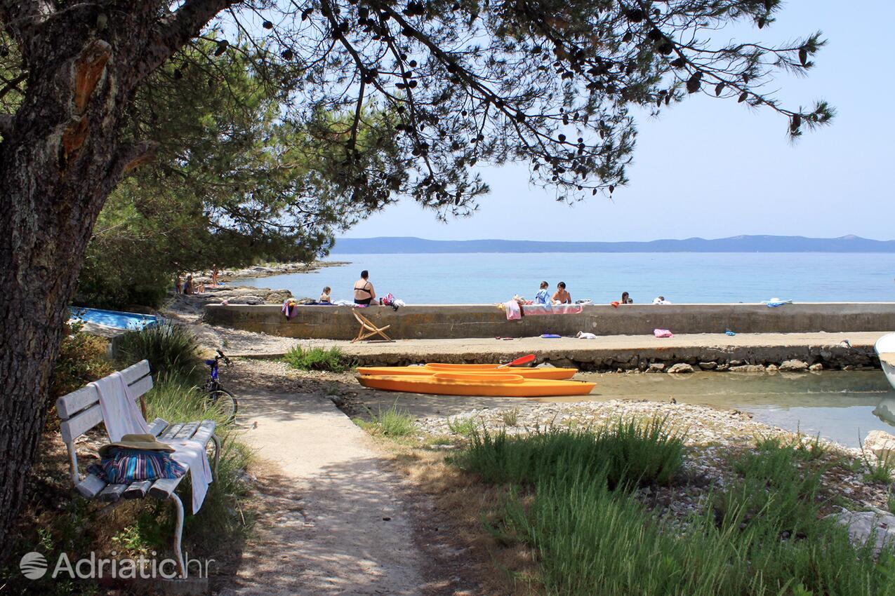 Guduće sur l’île Ugljan (Sjeverna Dalmacija)