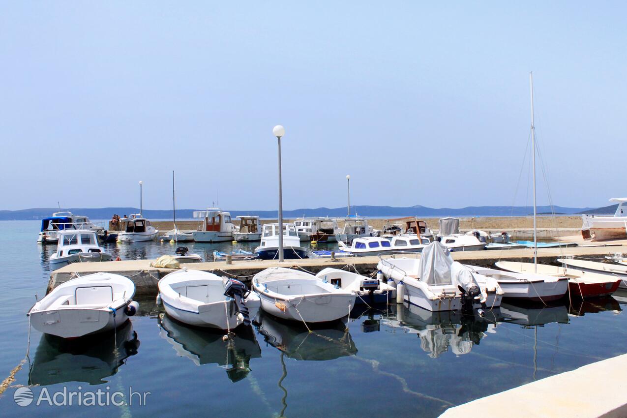 Guduće sur l’île Ugljan (Sjeverna Dalmacija)