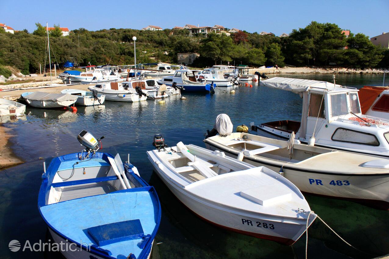 Guduće sur l’île Ugljan (Sjeverna Dalmacija)