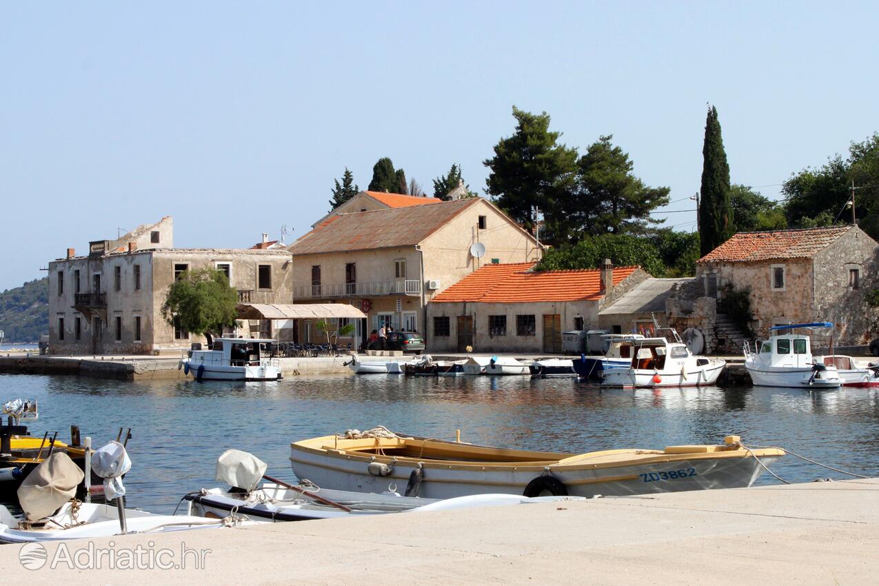 Luka på otoku Dugi otok (Sjeverna Dalmacija)