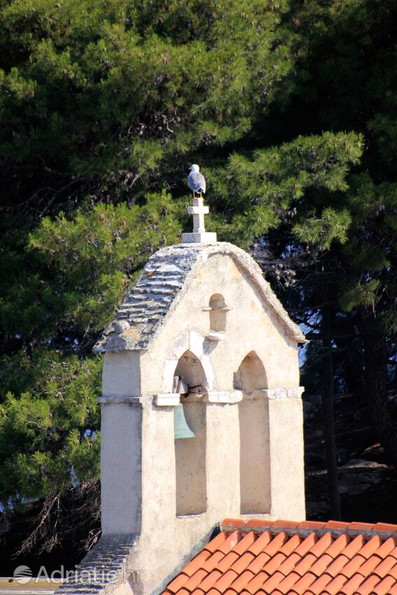 Savar na otoku Dugi otok (Sjeverna Dalmacija)