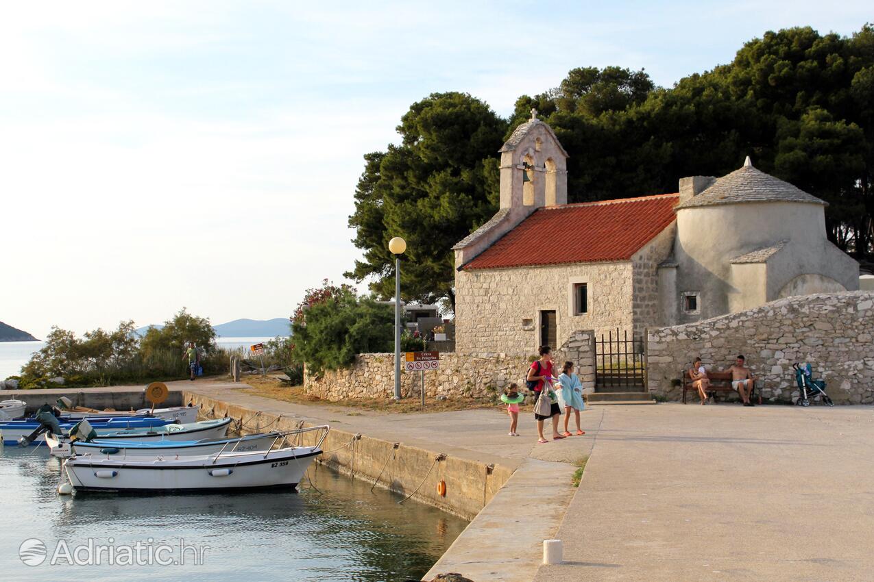 Savar na otoku Dugi otok (Sjeverna Dalmacija)