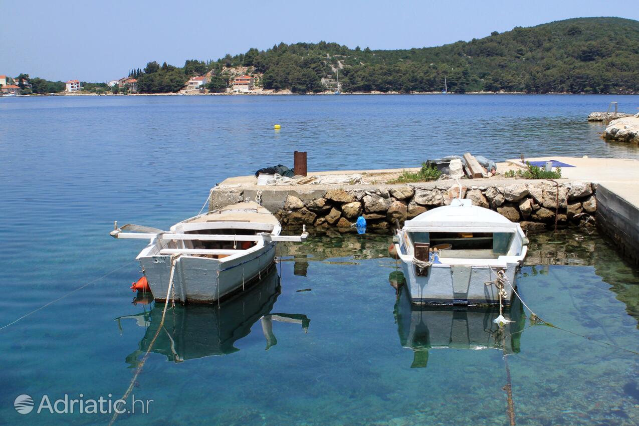 Savar na otoku Dugi otok (Sjeverna Dalmacija)