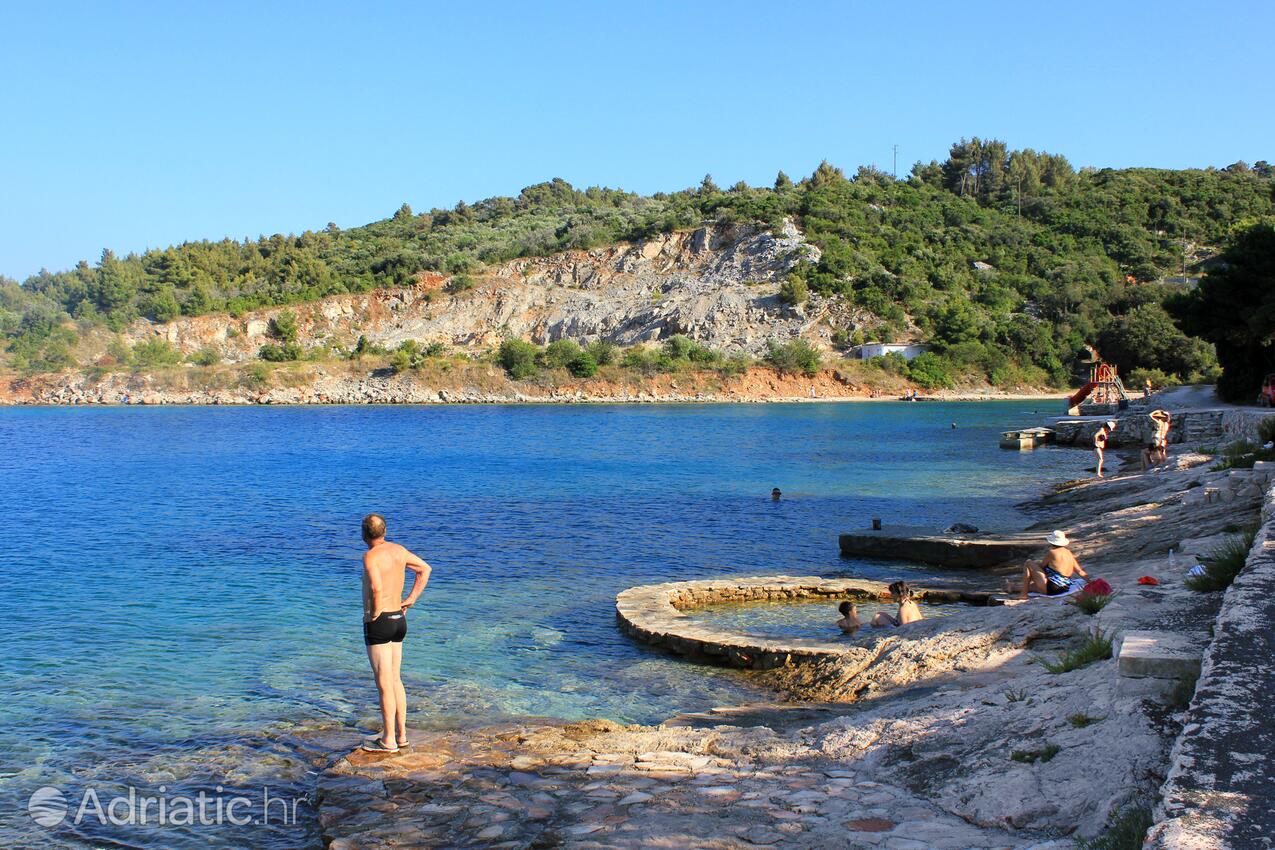 Nearby beaches - Apartments by the sea Zaglav, Dugi otok