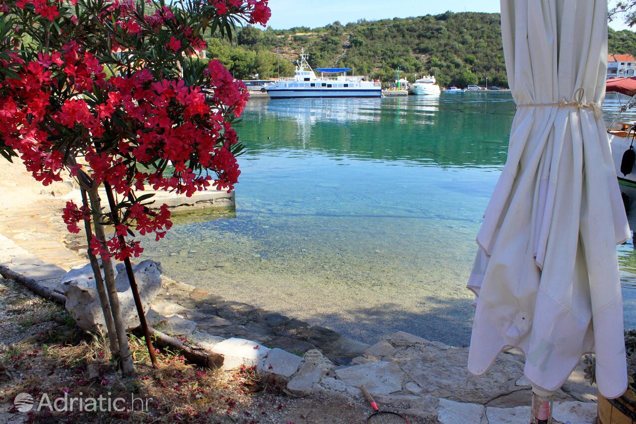 Nearby beaches - Apartments by the sea Zaglav, Dugi otok