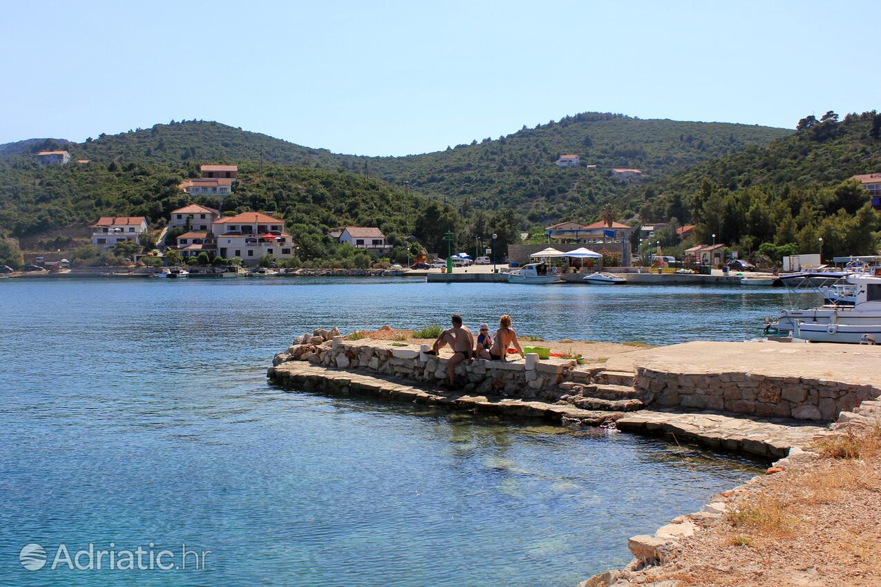 Nearby beaches - Apartments by the sea Zaglav, Dugi otok
