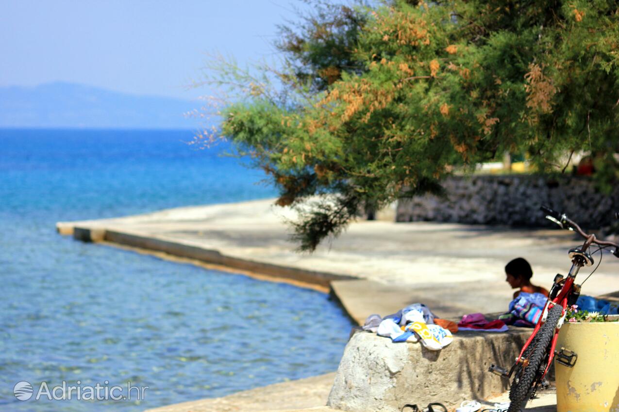 Nearby beaches - Apartments by the sea Zaglav, Dugi otok