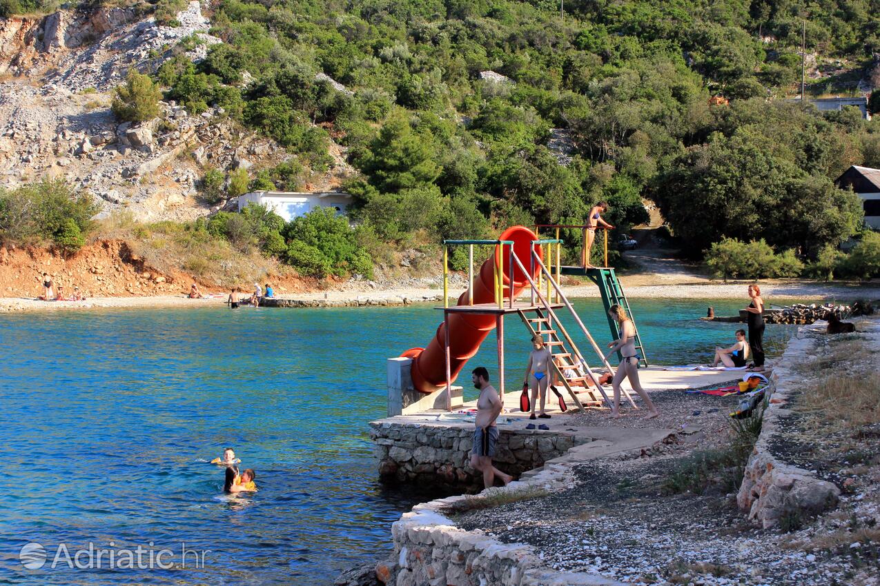 Nearby beaches - Apartments by the sea Zaglav, Dugi otok