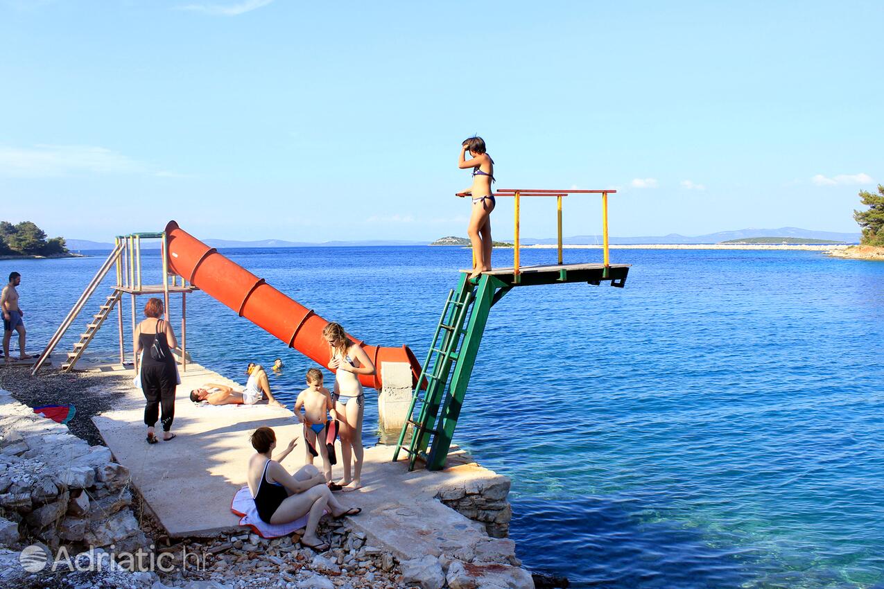 Nearby beaches - Apartments by the sea Zaglav, Dugi otok