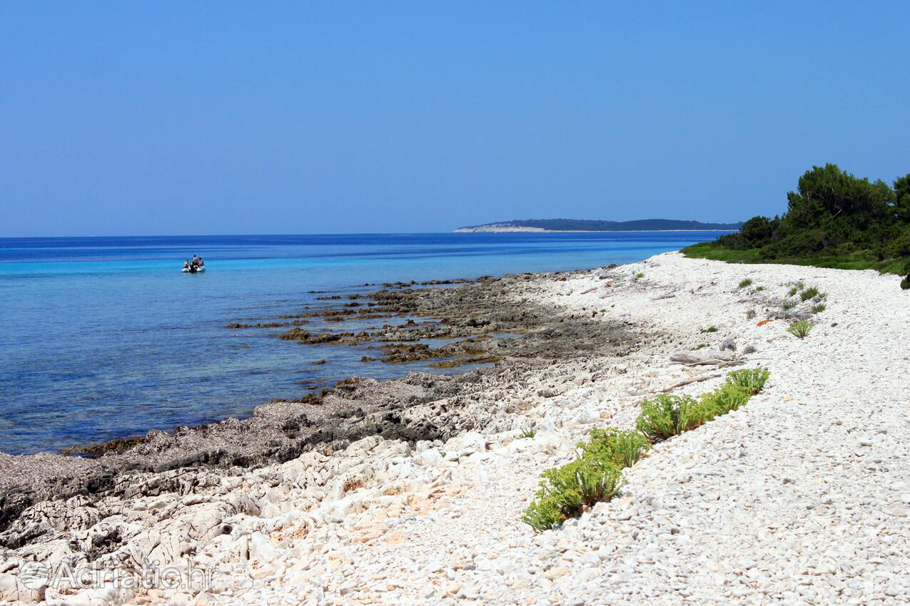 Nearby beaches - Apartments by the sea Zaglav, Dugi otok