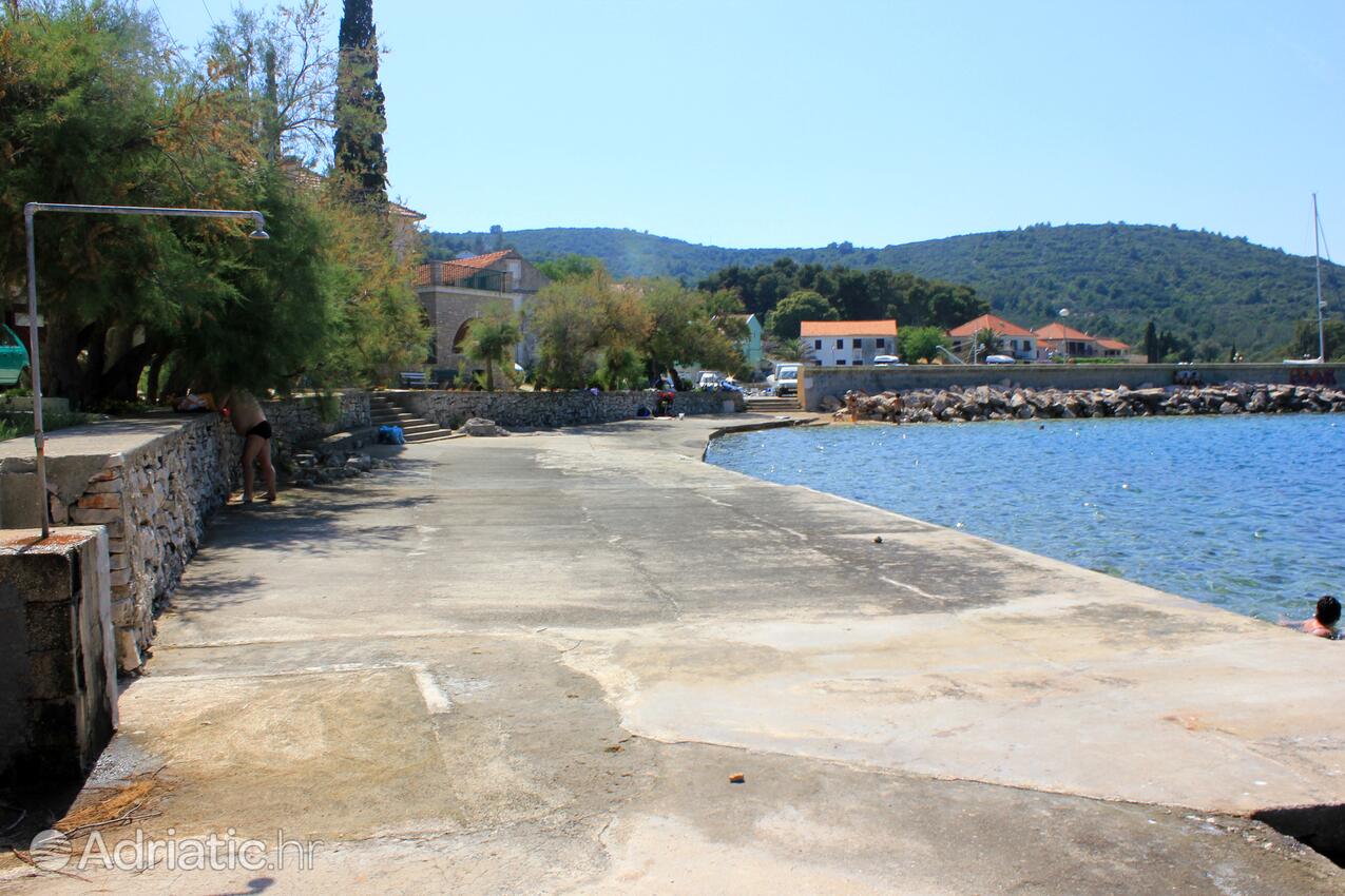 Nearby beaches - Apartments by the sea Zaglav, Dugi otok