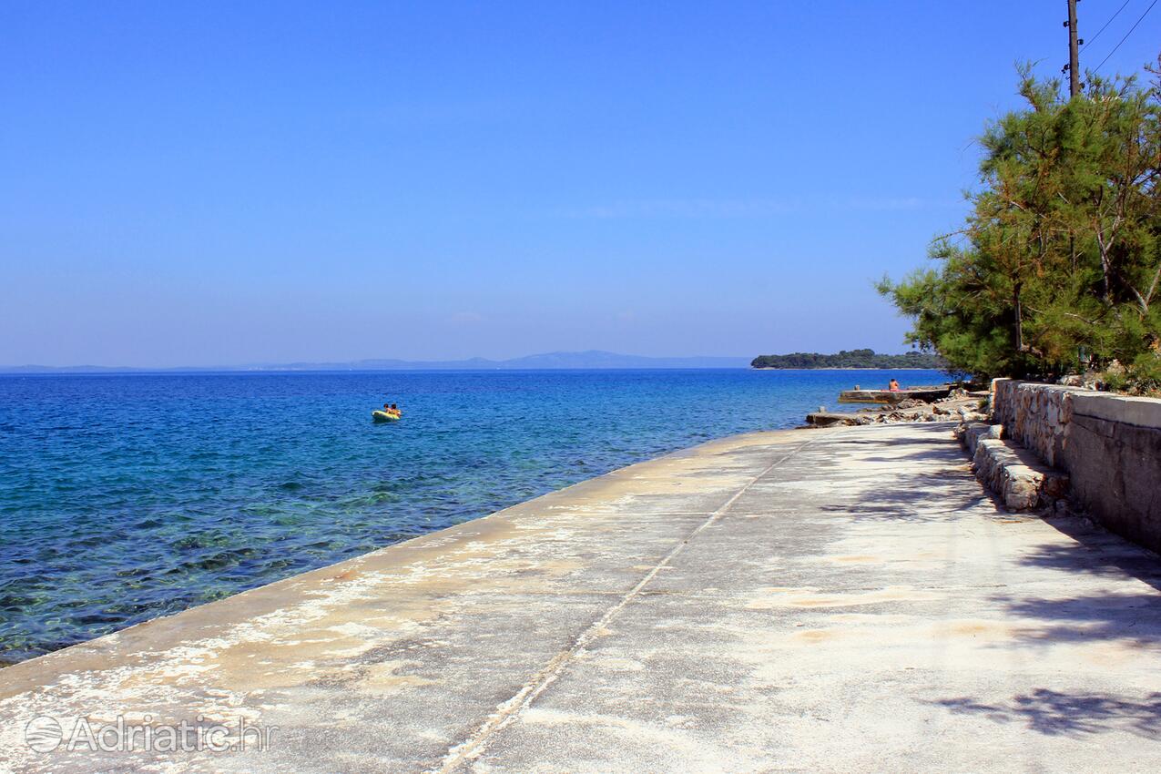 Nearby beaches - Apartments by the sea Zaglav, Dugi otok
