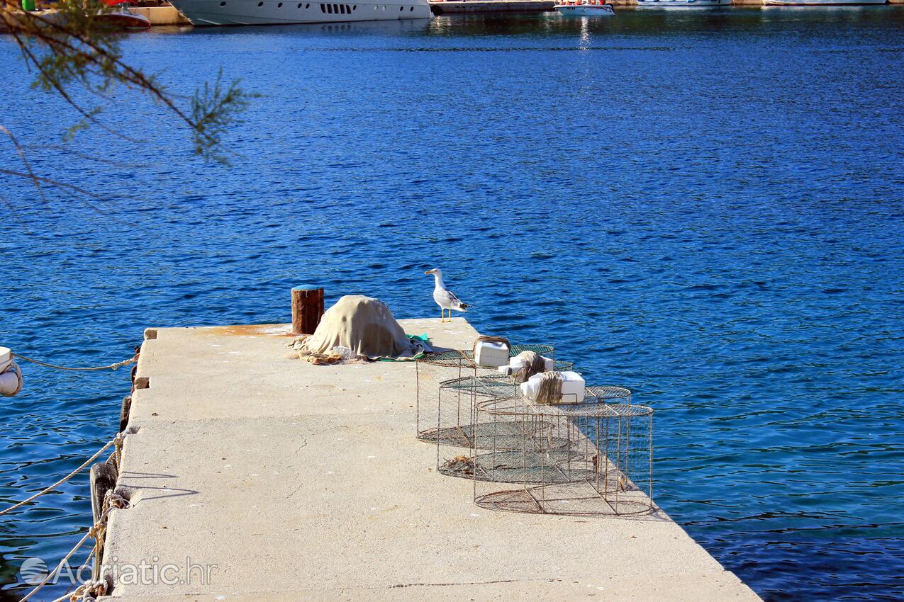 Nearby beaches - Apartments by the sea Zaglav, Dugi otok