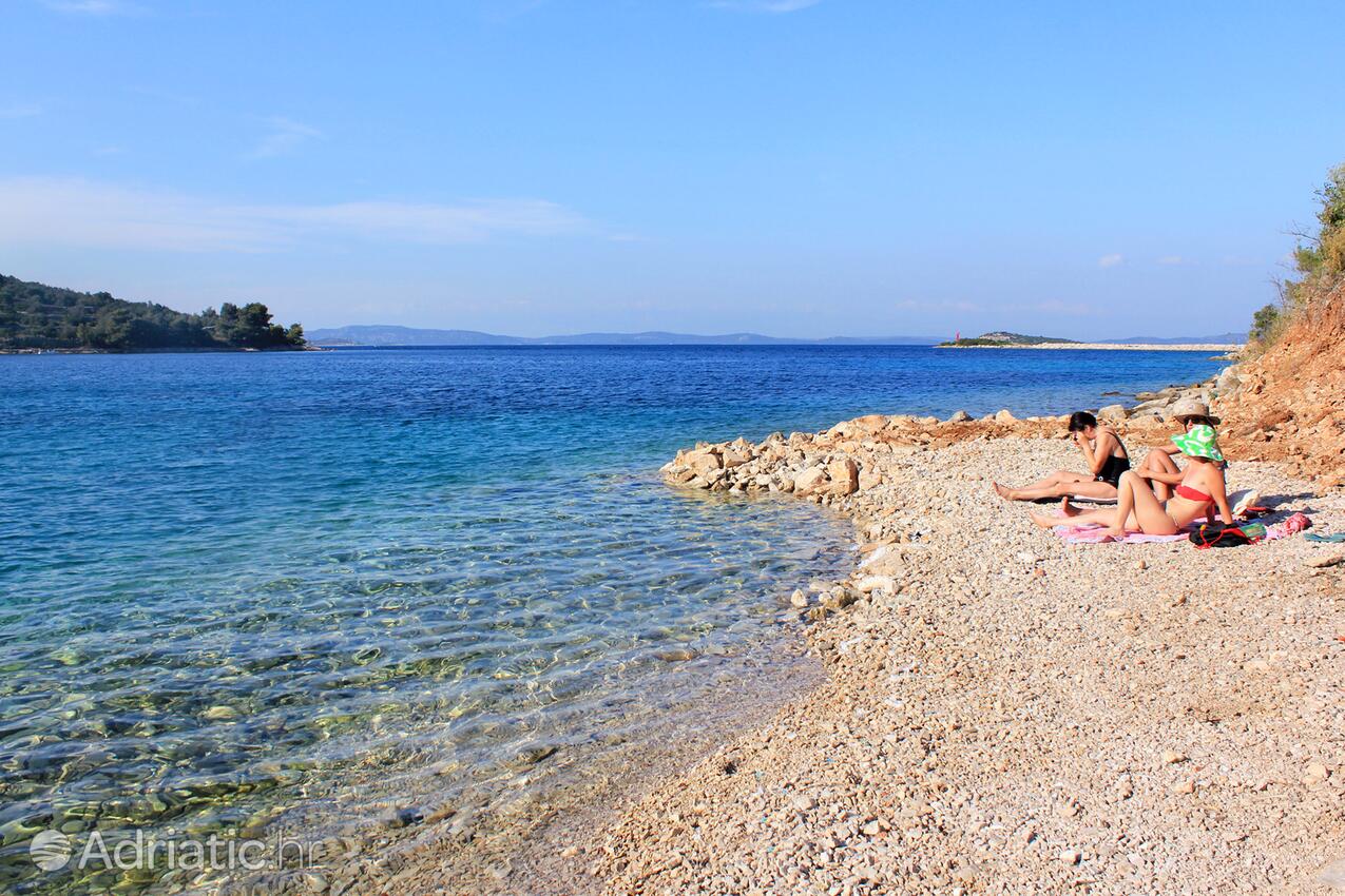 Nearby beaches - Apartments by the sea Zaglav, Dugi otok