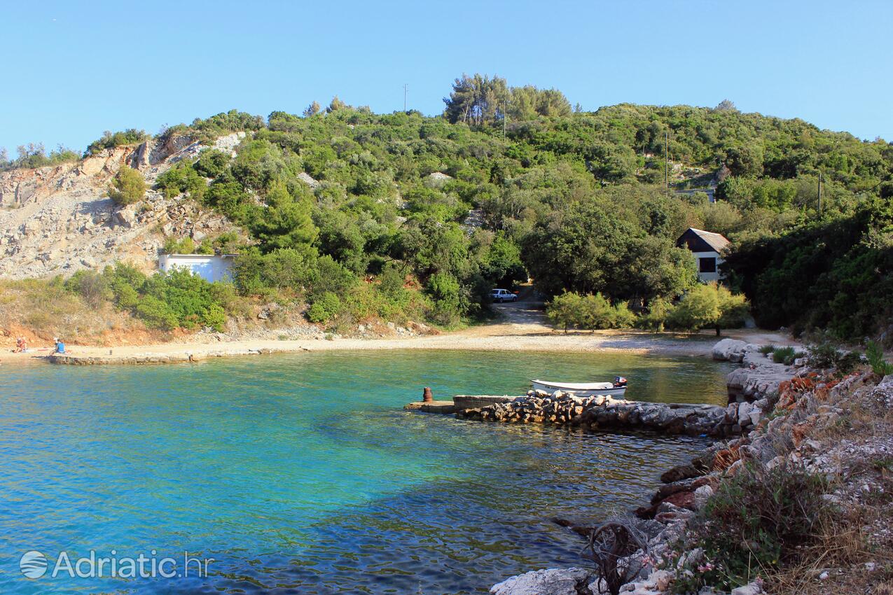 Nearby beaches - Apartments by the sea Zaglav, Dugi otok