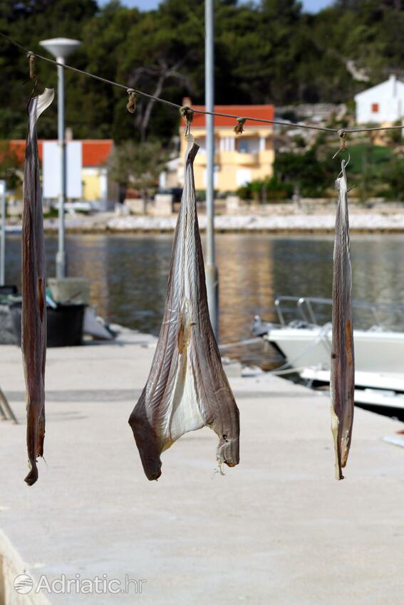 Verunić on the island Dugi otok (Sjeverna Dalmacija)