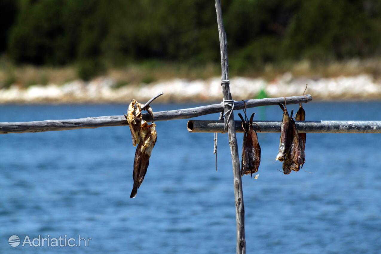 Verunić on the island Dugi otok (Sjeverna Dalmacija)