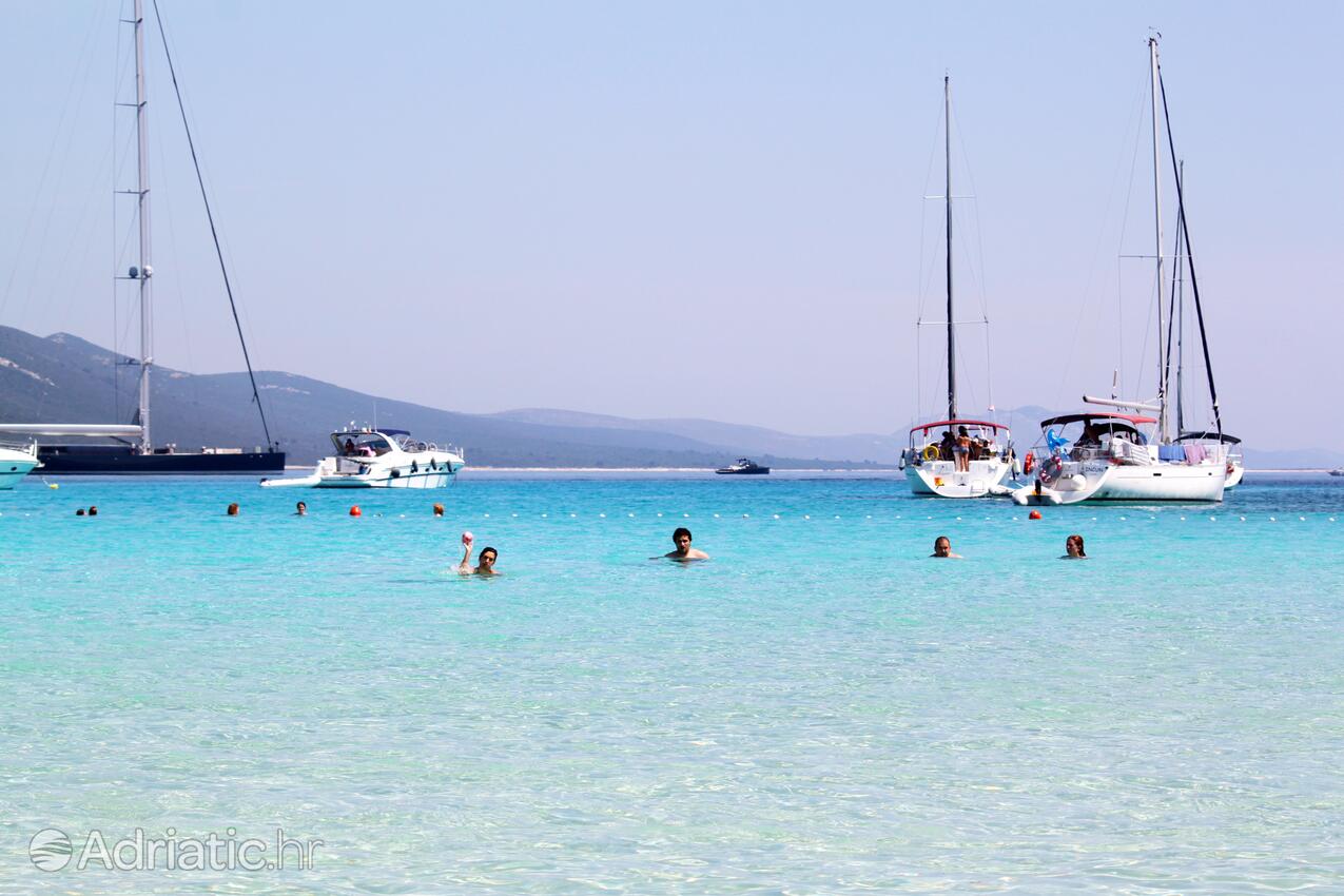 Spiagge nelle vicinanze - Casa vacanze accanto al mare Verunić, Isola Lunga - Dugi otok